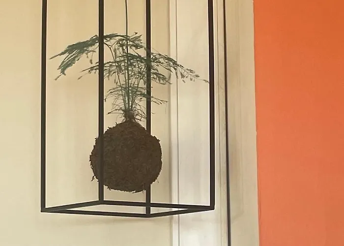 Cocoon