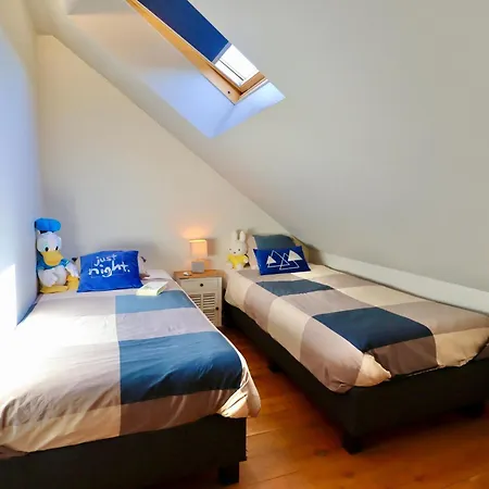 Cocoon * Houffalize