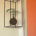 Cocoon