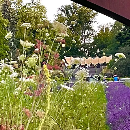 Cocoon Accommodatie bij particulieren