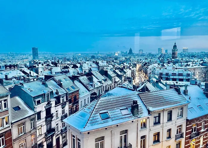 Cocoon * Brussel